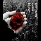 只爱陌生人的头像