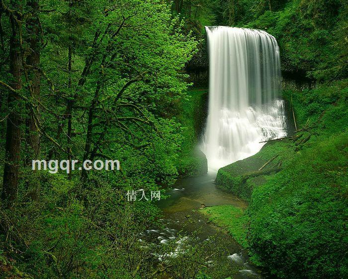 勇往直前q 的头像