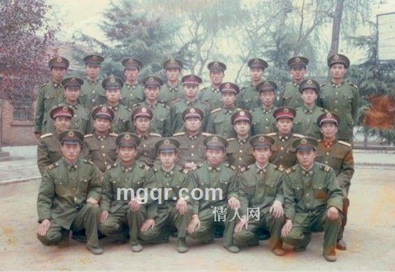 固执的石头的头像