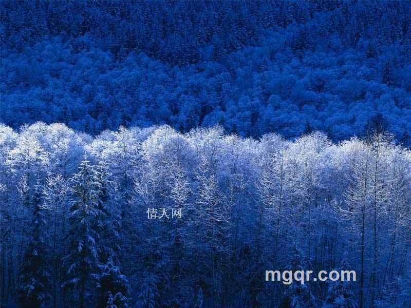 阳光男孩的头像