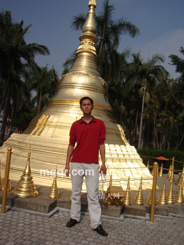 完美风暴的头像