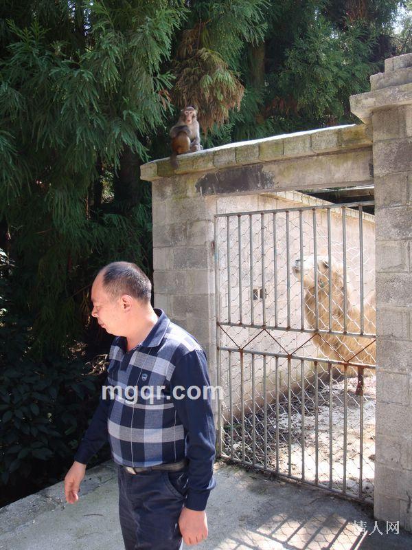 XIN LING DEHUHUAN的头像