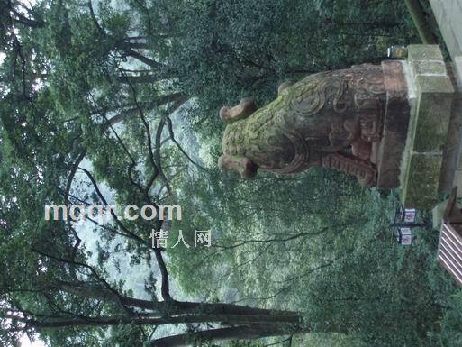  与众不同的头像