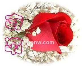 一生平安的头像