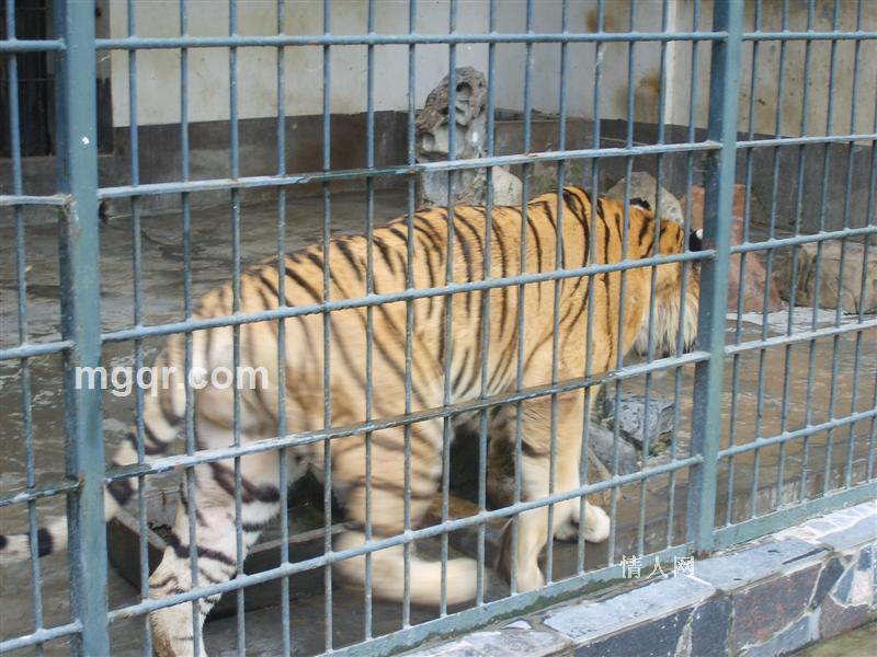 寻现实情人的头像