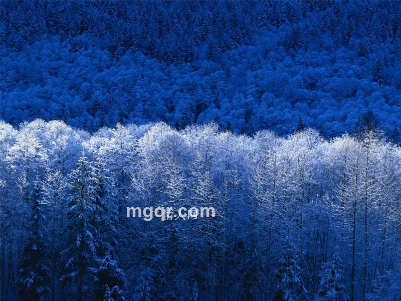 慧眼识宝的头像