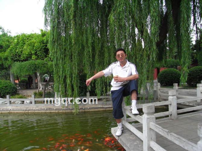 商贾儒生的头像