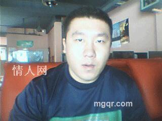 不做虚伪的猫的头像