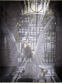 勇敢的呐喊的头像