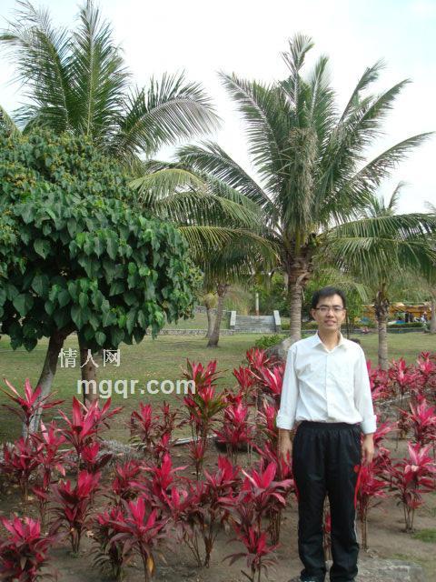 六月奇迹的头像