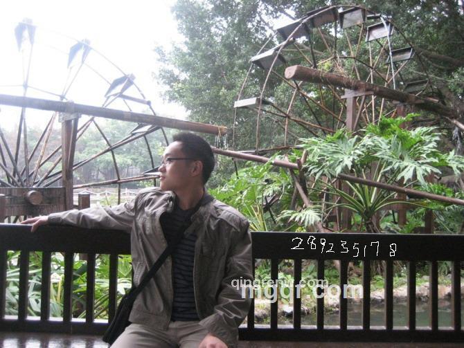 半醉人间的头像