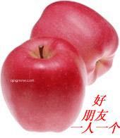 一支独秀的头像