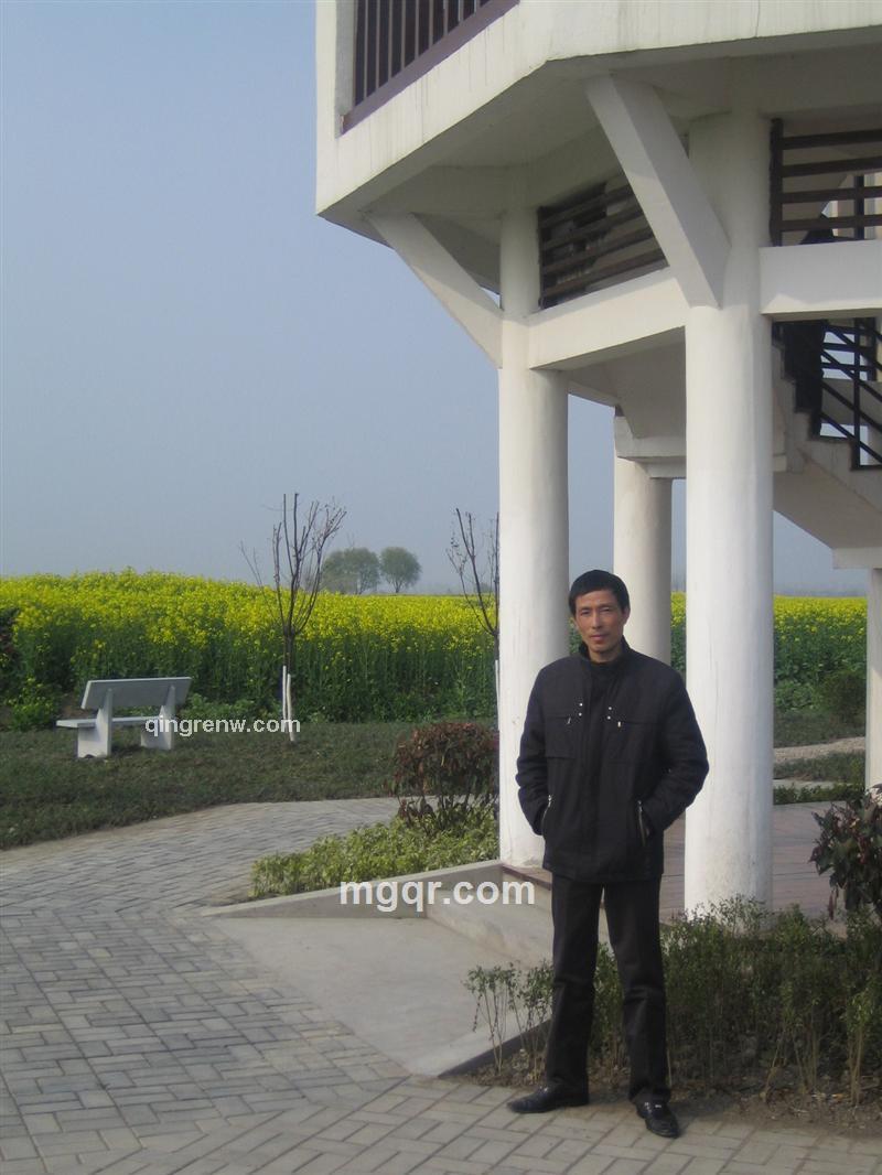 想入飞飞的头像