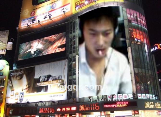 老树一棵的头像