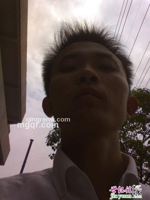 夜半歌声的头像