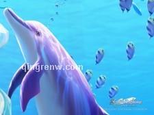 暗夜星光的头像