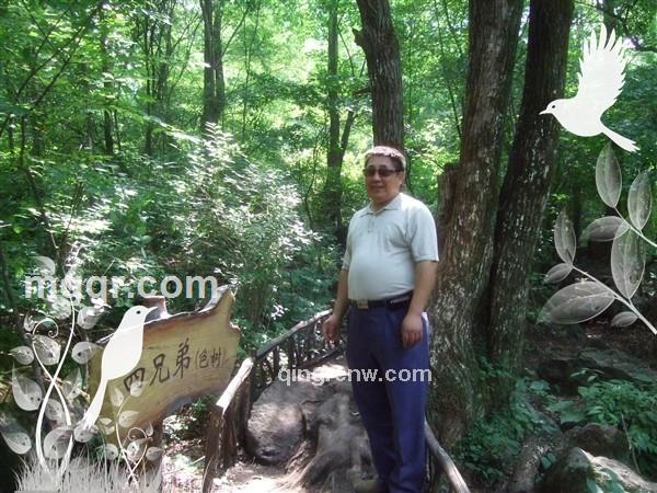 yiluqingfeng的头像