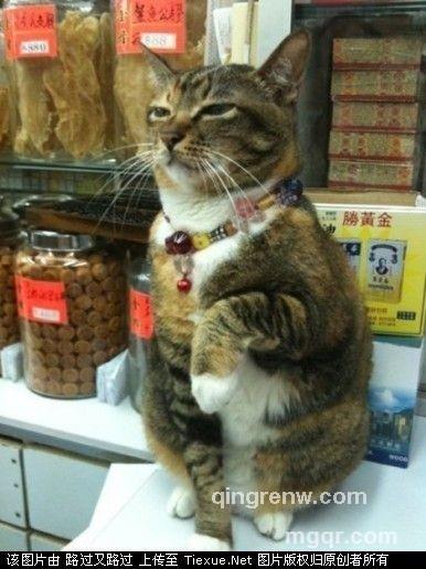 慧质男心的头像