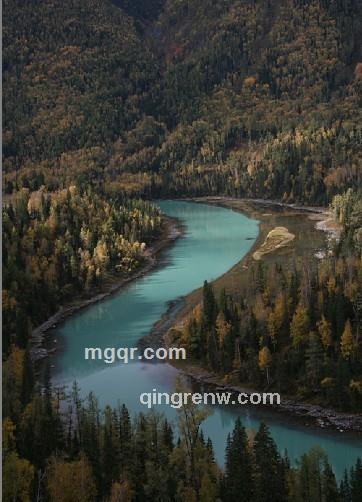 坝上秋色的头像