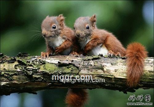 月落长河的头像