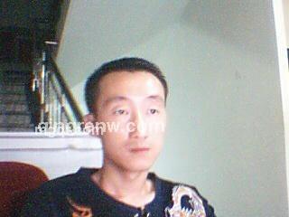 疯狂的青蛙的头像