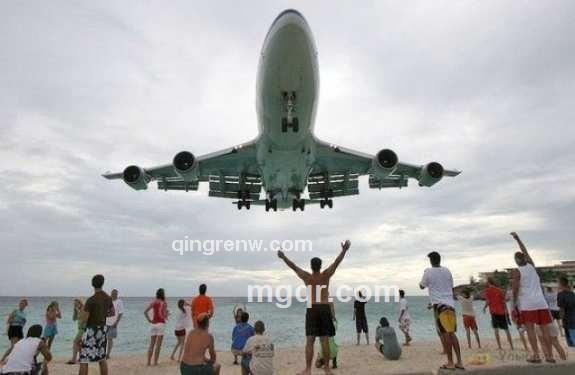 自由的小溪的头像