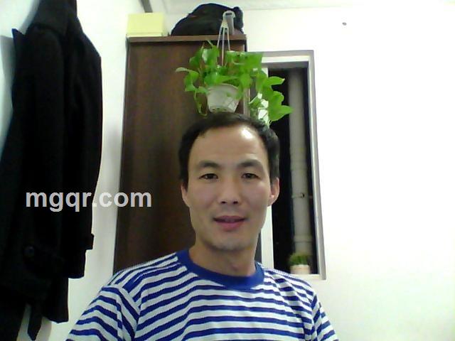 漂泊的北方狼的头像