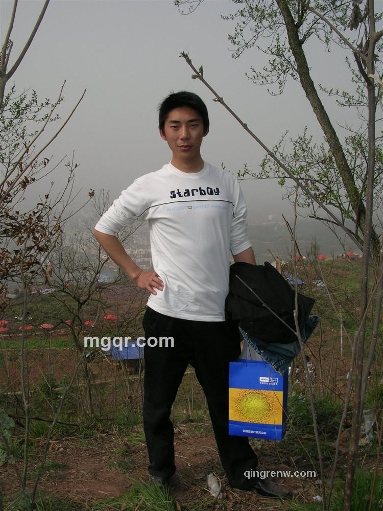 渴望翱翔的头像