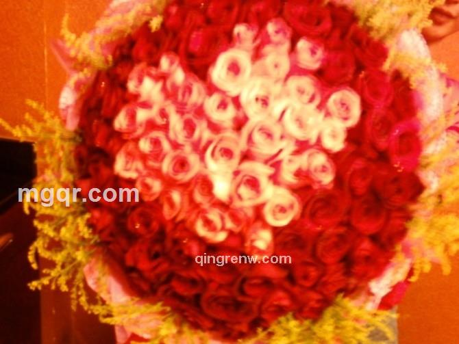 ╰狐狸的悲哀的头像