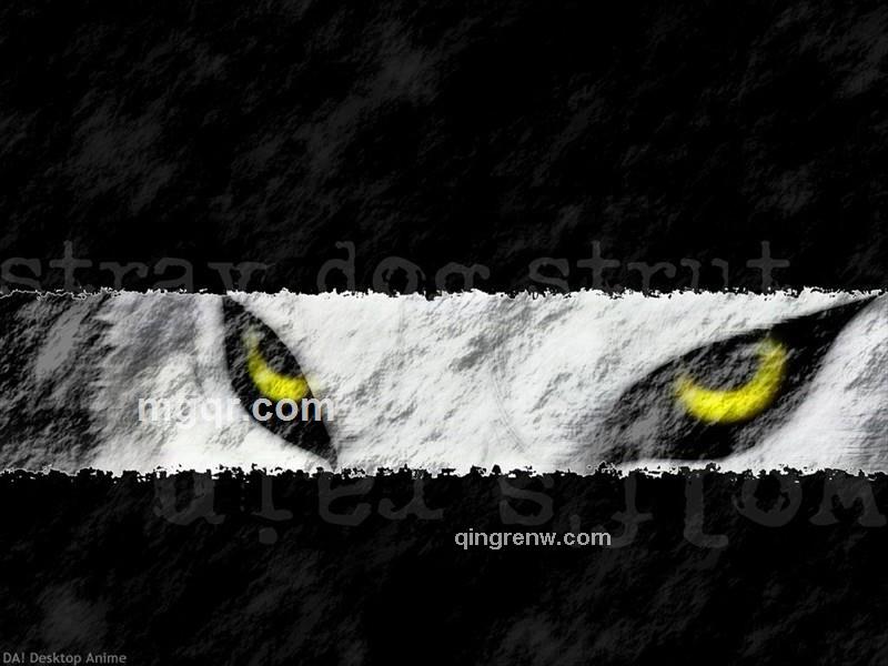 追风浪人的头像