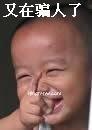酷熊的头像