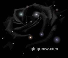 ♂♀第一的头像