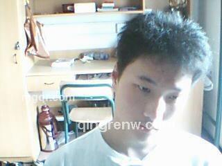 fengniao的头像