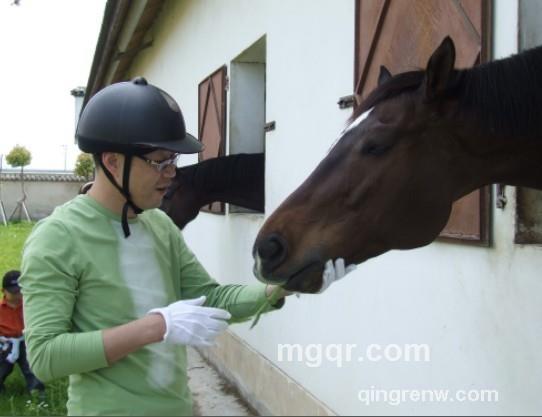 依依我心的头像