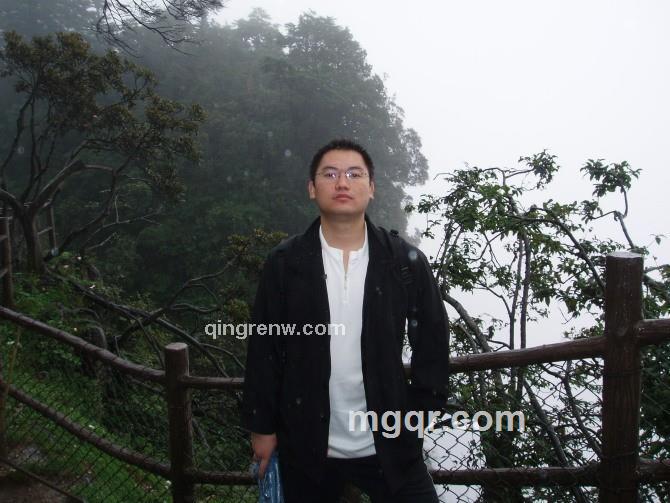 红尘雉鸡的头像