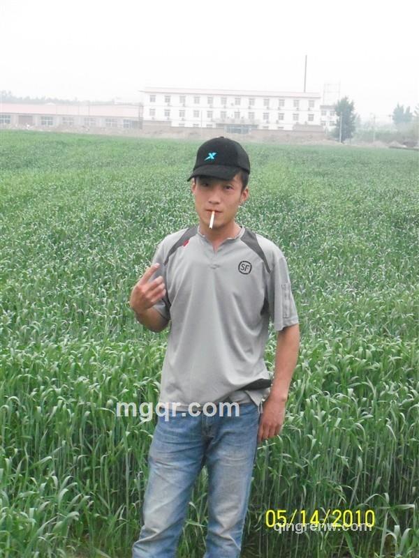 云层里的风的头像