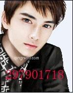 风的思绪的头像