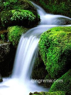 乡村耶夫的头像