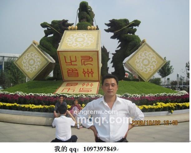 自由沙滩的头像