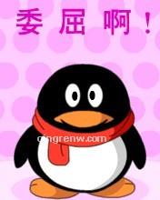 淘气的淑女的头像