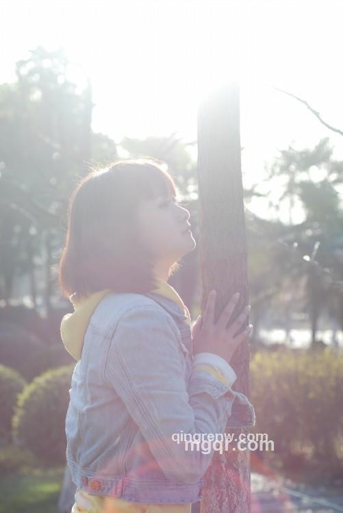 桔梗花语的头像