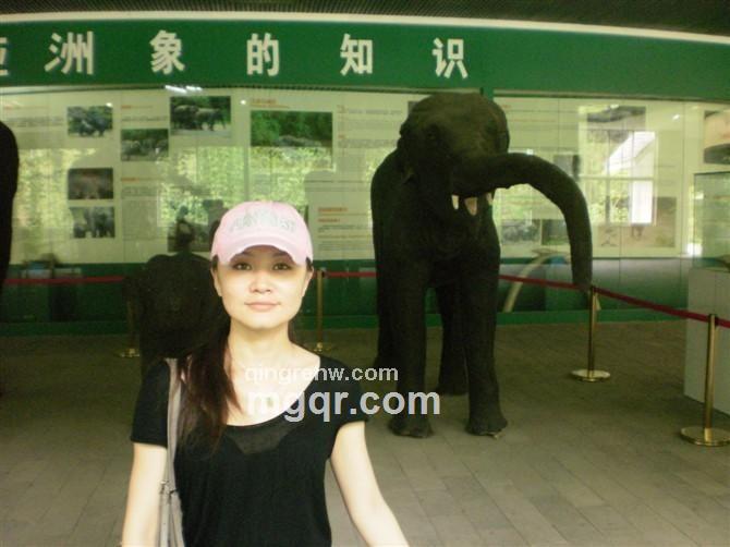 顾影自怜的头像