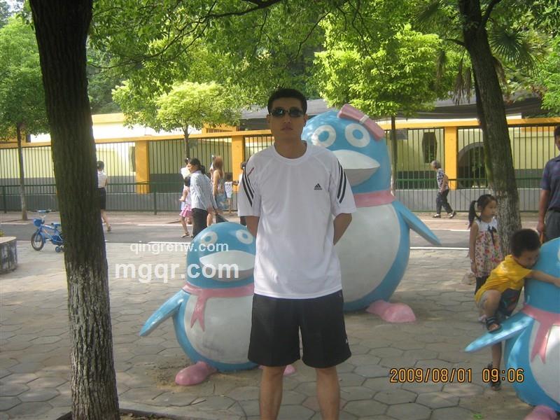 玫瑰网激情的头像