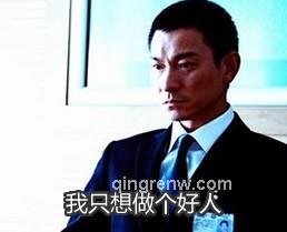 河湖1河湖的头像