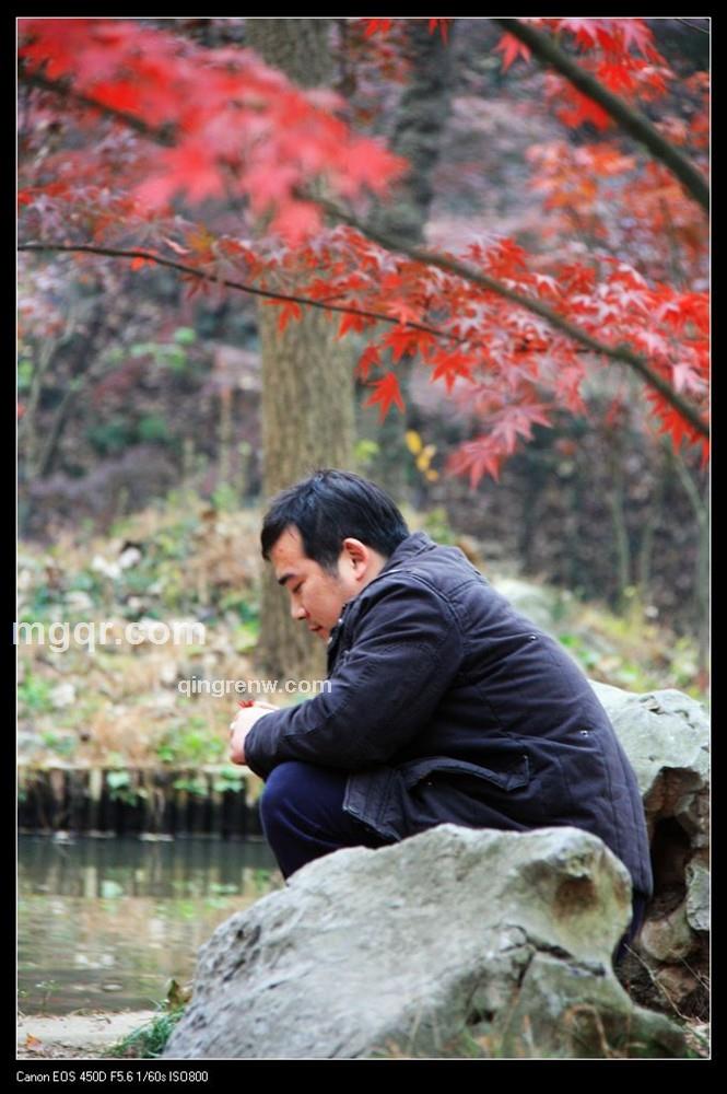 孤独的一吻的头像