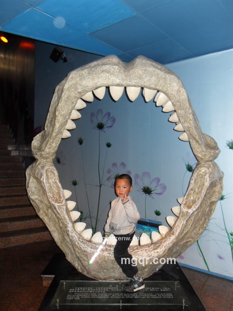 @@寂寞的人@@的头像