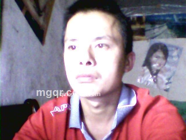 说话的狼的头像