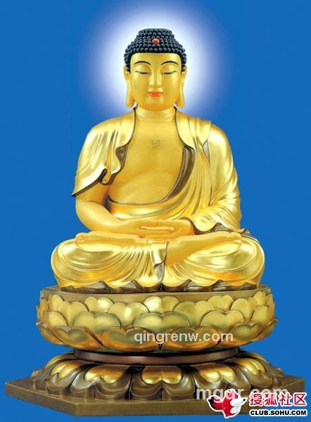 遗憾的平方的头像