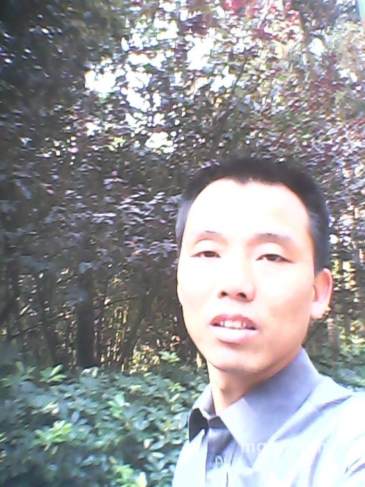 谈笑自若的头像