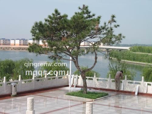 帅哥，情人的头像